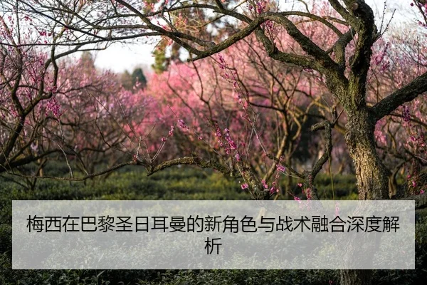 梅西在巴黎圣日耳曼的新角色与战术融合深度解析